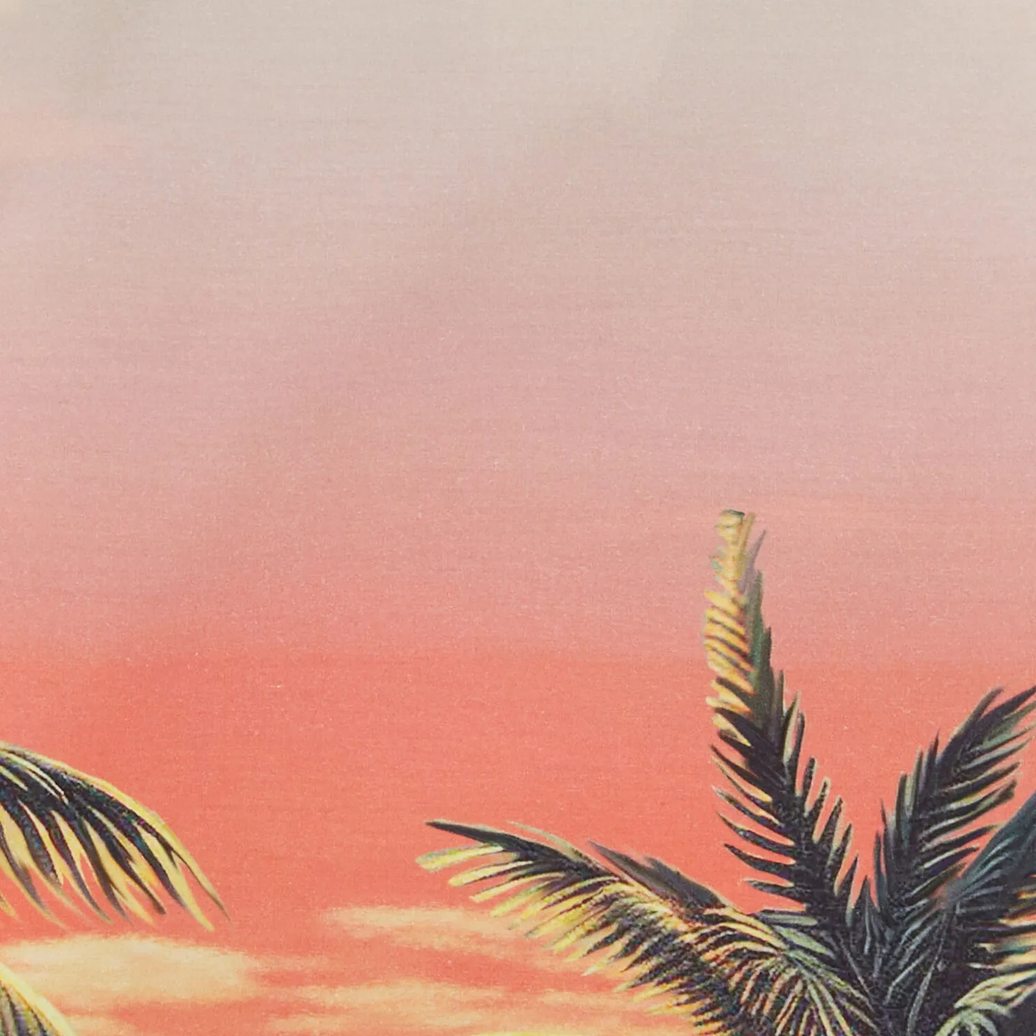 Jules Chemisette en coton imprimé hawaïen- Chemise