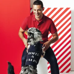 Jules Polo manches courtes uni - Polo