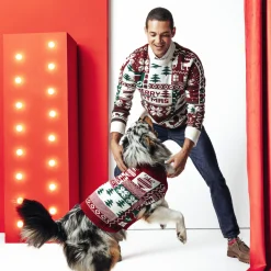 Jules Pull de Noël col rond- Pull