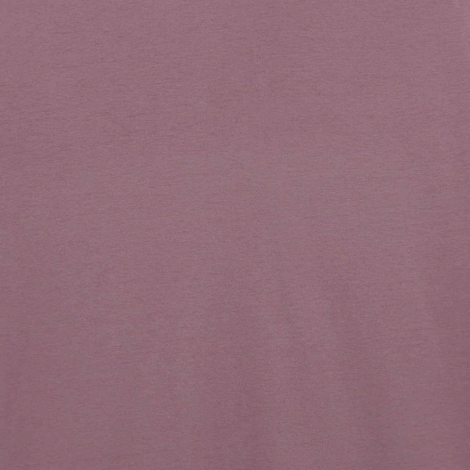 Jules Tee shirt - T-shirt