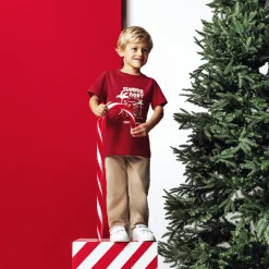 Jules Tee shirt Noël col rond- T-shirt